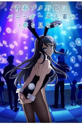 Poster: Rascal Does Not Dream of Bunny Girl Senpai
