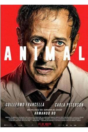 Poster: Animal