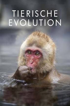 Poster: David Attenborough's Rise of Animals: Triumph of the Vertebrates
