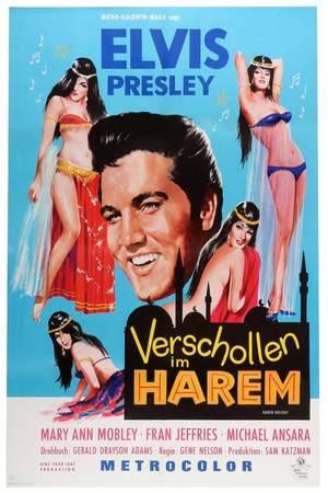 Poster: Verschollen im Harem