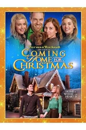 Poster: Coming Home for Christmas