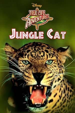 Poster: Wilde Katzen