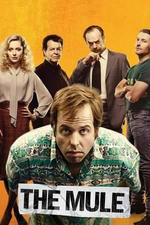 Poster: The Mule