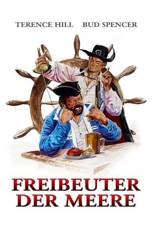 Poster: Freibeuter der Meere