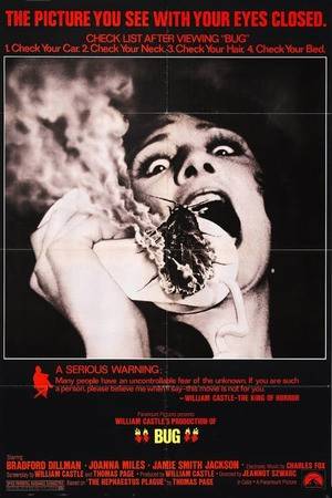 Poster: Feuerkäfer