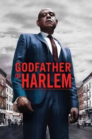 Poster: Godfather of Harlem
