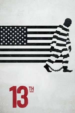 Poster: Der 13.