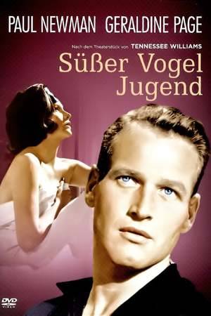Poster: Süßer Vogel Jugend