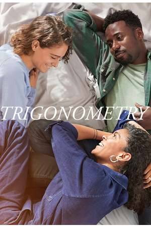 Poster: Trigonometry