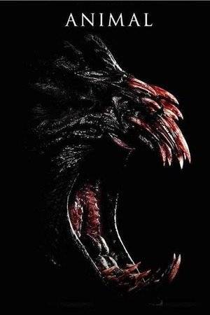Poster: Animal