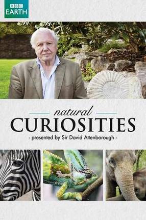 Poster: David Attenborough's Natural Curiosities