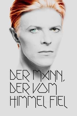 Poster: Der Mann, der vom Himmel fiel