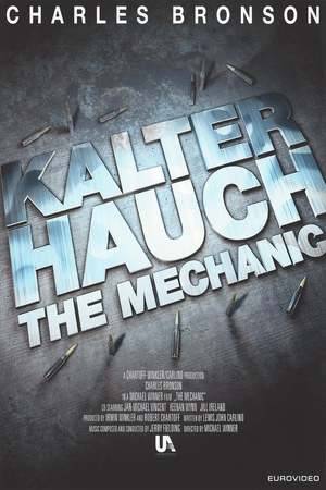 Poster: Kalter Hauch